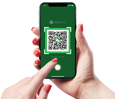 WeChat Pay​